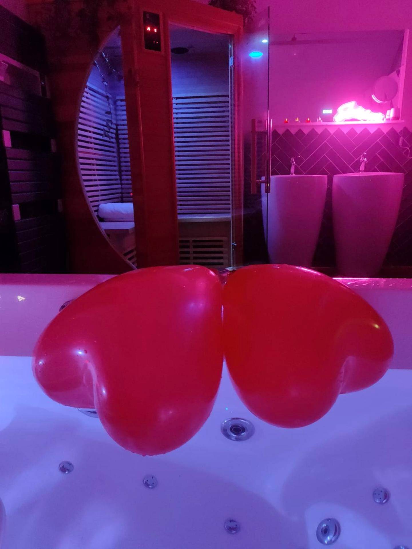 Photo du logement - Le Cocon des Layes classé officiellement 5 étoiles