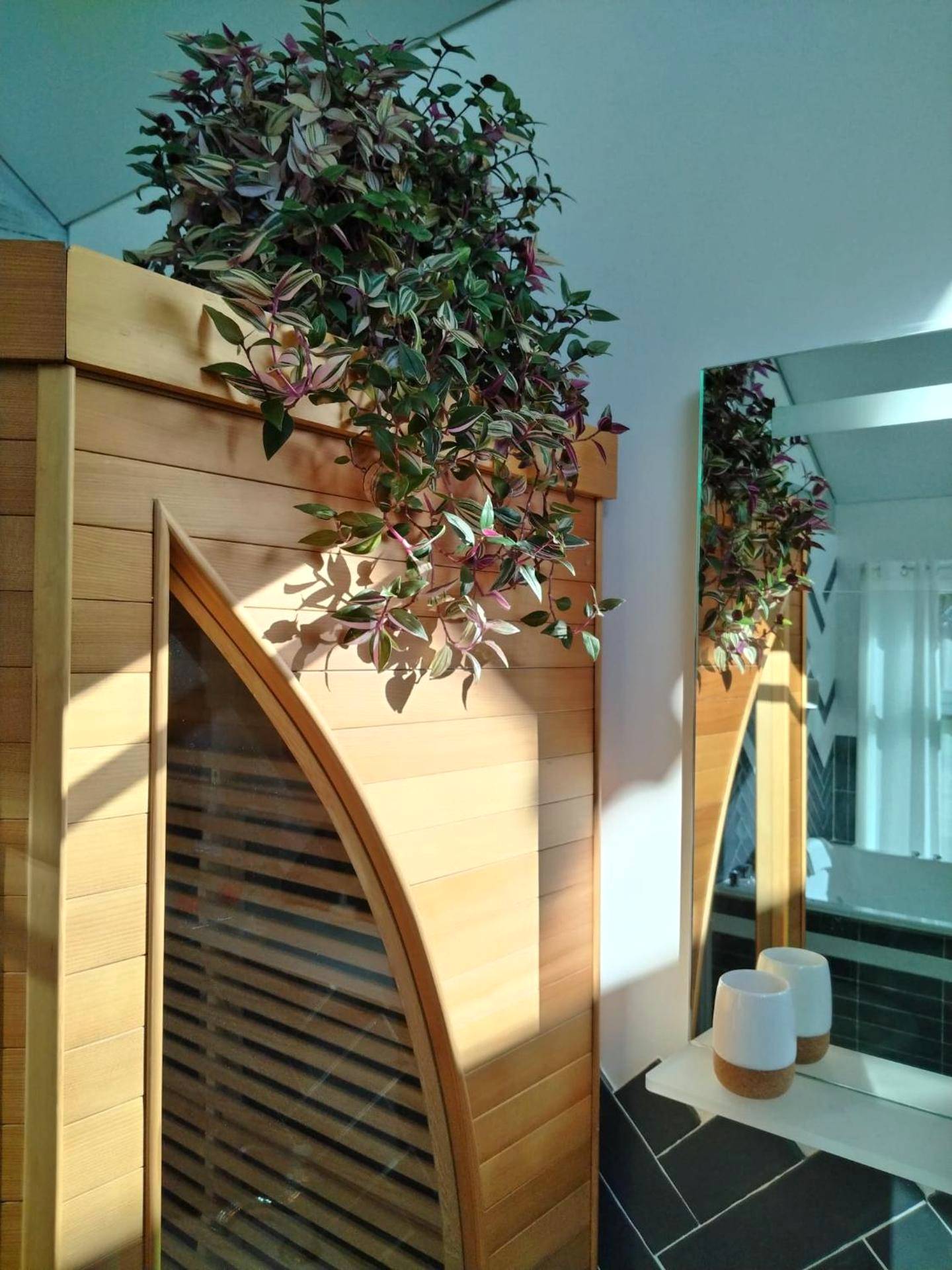 Sauna privatif en bois avec plante verte - Le Cocon des Layes classé officiellement 5 étoiles
