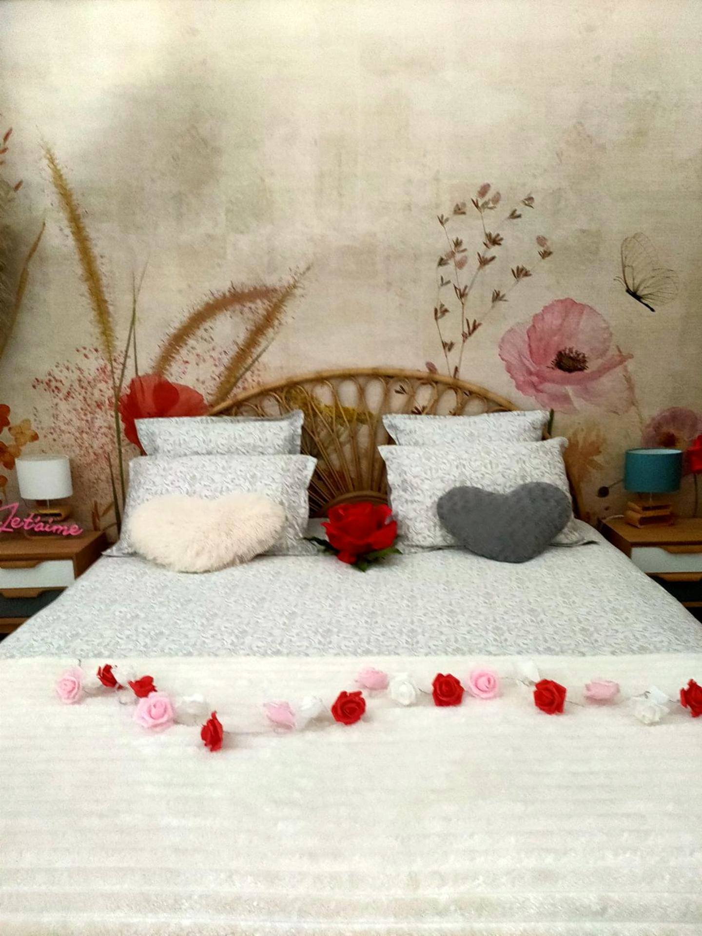 Photo du logement - Le Cocon des Layes classé officiellement 5 étoiles