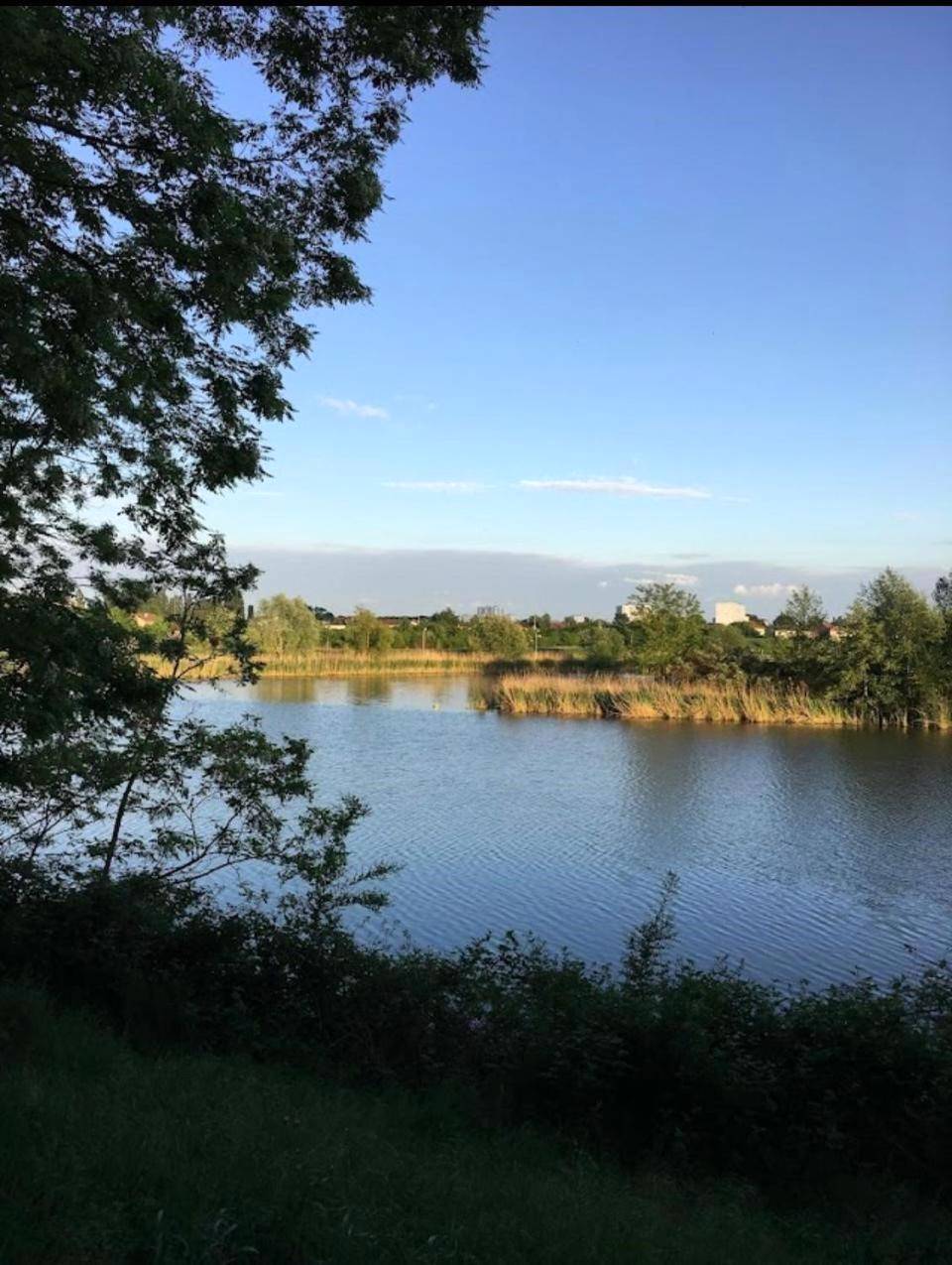 Photo du logement - Le Cocon des Rives - Nancy