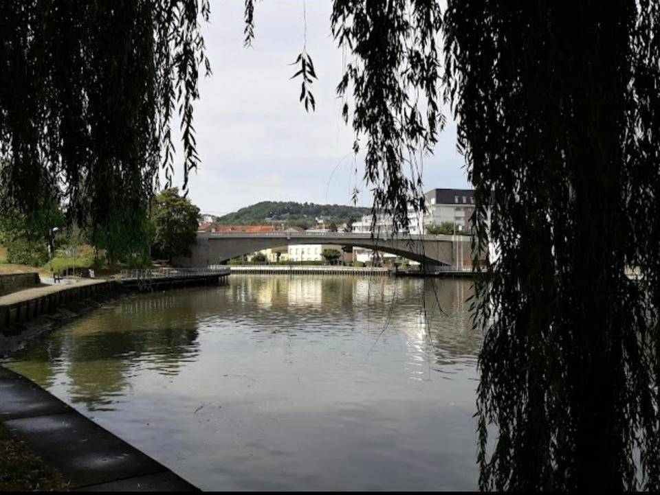 Photo du logement - Le Cocon des Rives