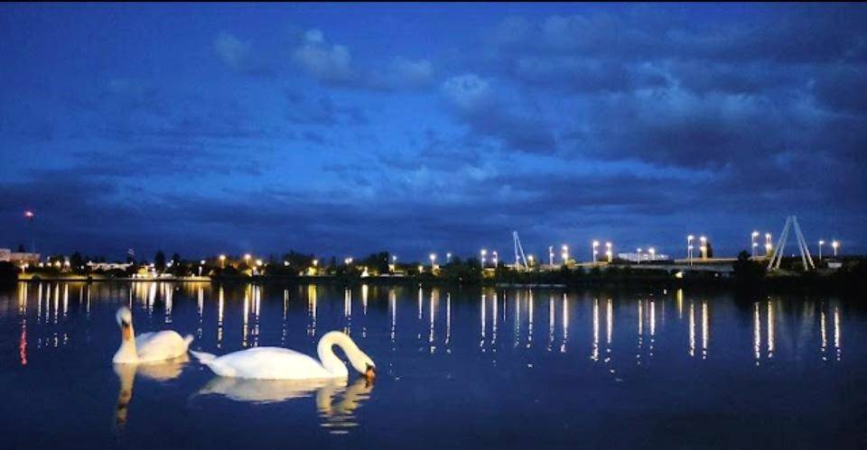 Photo du logement - Le Cocon des Rives