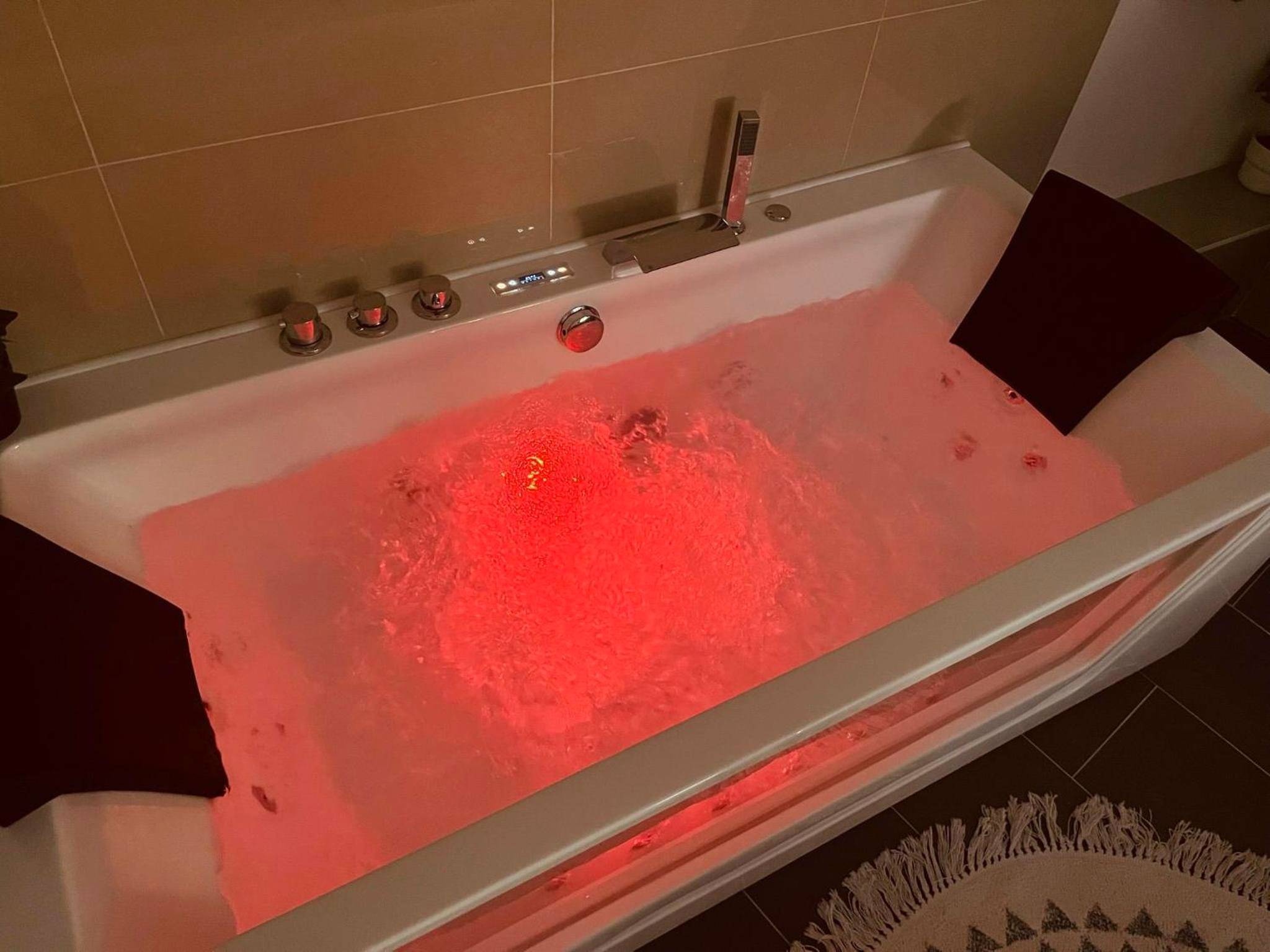 Photo du logement - Le Cocon des Rives - Nancy