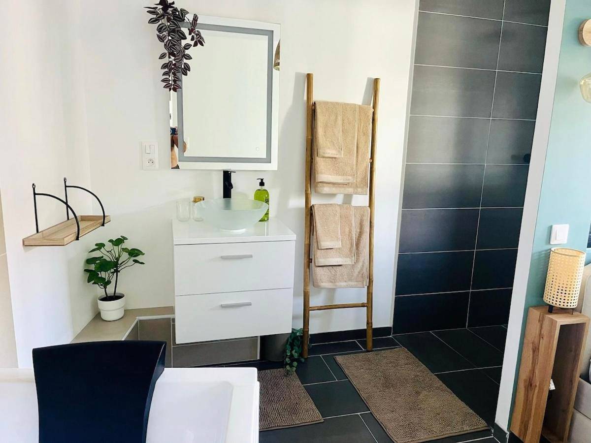 Photo du logement - Le Cocon des Rives - Nancy