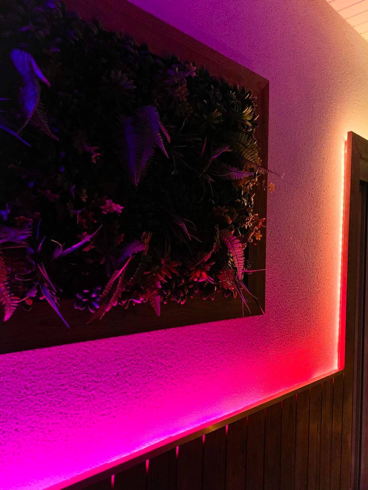 Photo du logement - Le Cocon Rose Jacuzzi privé rêve et Douceur - Belin - Béliet