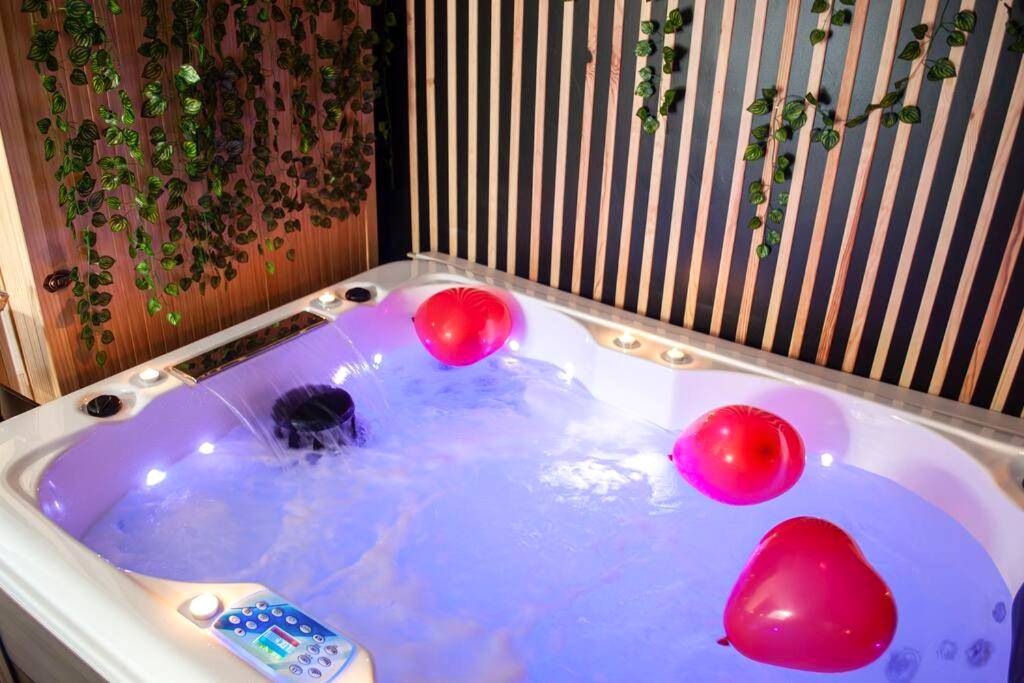 Photo du logement - Love room Cocon Sri - Yani sauna jacuzzi