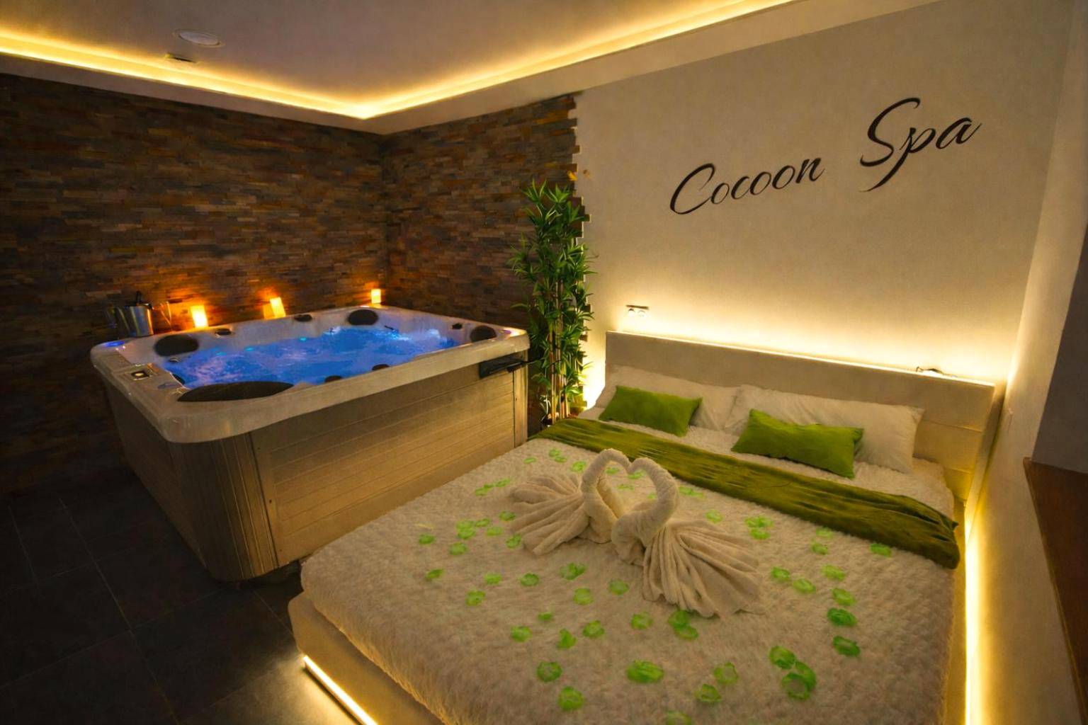 Vue du logement - COCOON SPA - 4 Pers - Jacuzzi - Parking - Jardin - Clim - Colmar