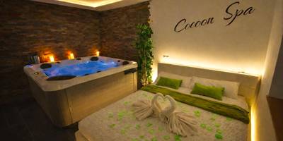 Vue du logement - COCOON SPA - 4 Pers - Jacuzzi - Parking - Jardin - Clim - Colmar