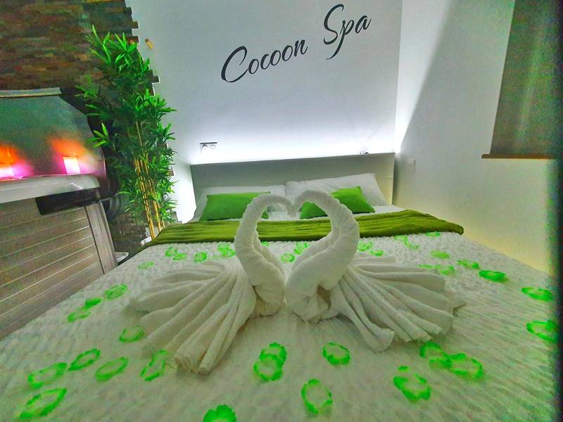 Photo du logement - COCOON SPA - 4 Pers - Jacuzzi - Parking - Jardin - Clim - Colmar