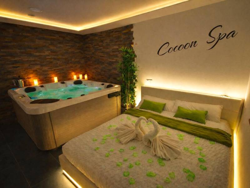 Photo du logement - COCOON SPA - 4 Pers - Jacuzzi - Parking - Jardin - Clim - Colmar - Baltzenheim