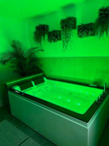 Photo du logement - Love Room Cocooning & Spa