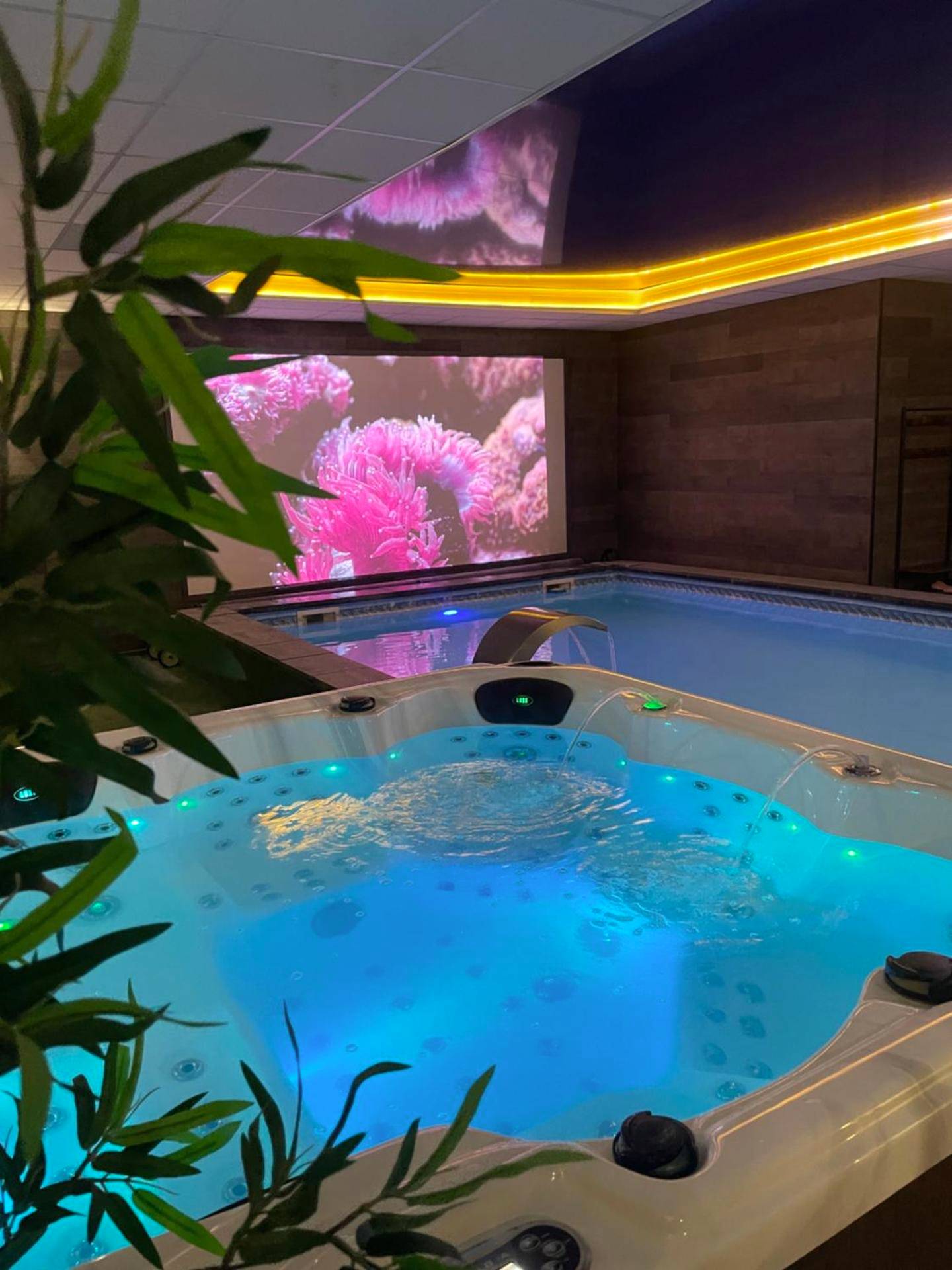 Photo du logement - COCOONING SPA - Gîte avec piscine, jacuzzi, sauna - Marck