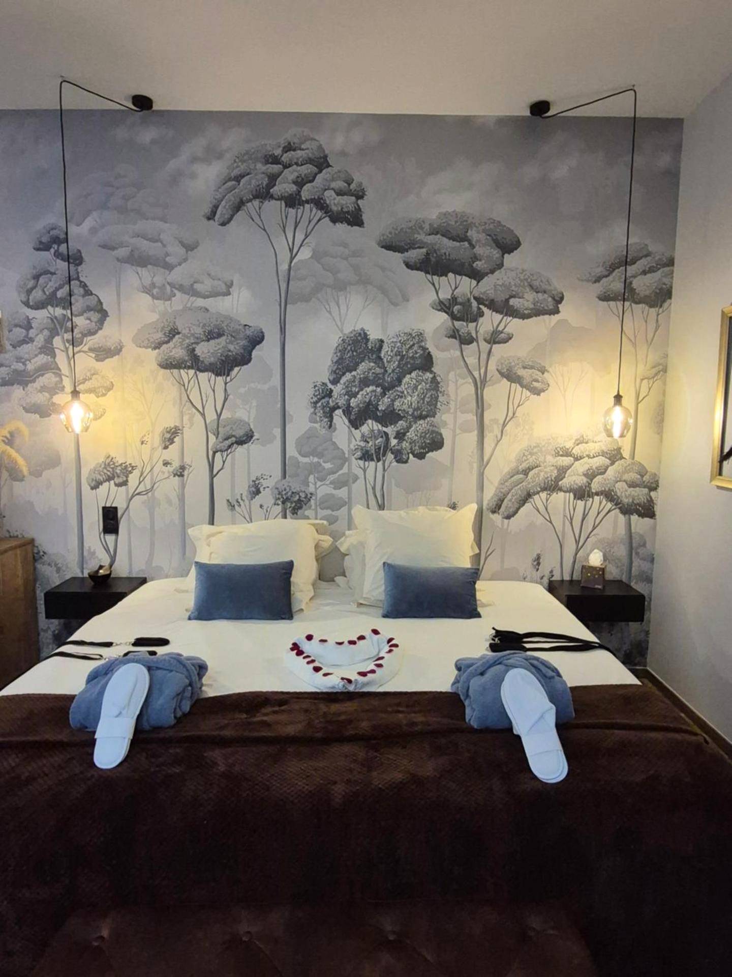 Photo du logement - Au coeur des désirs