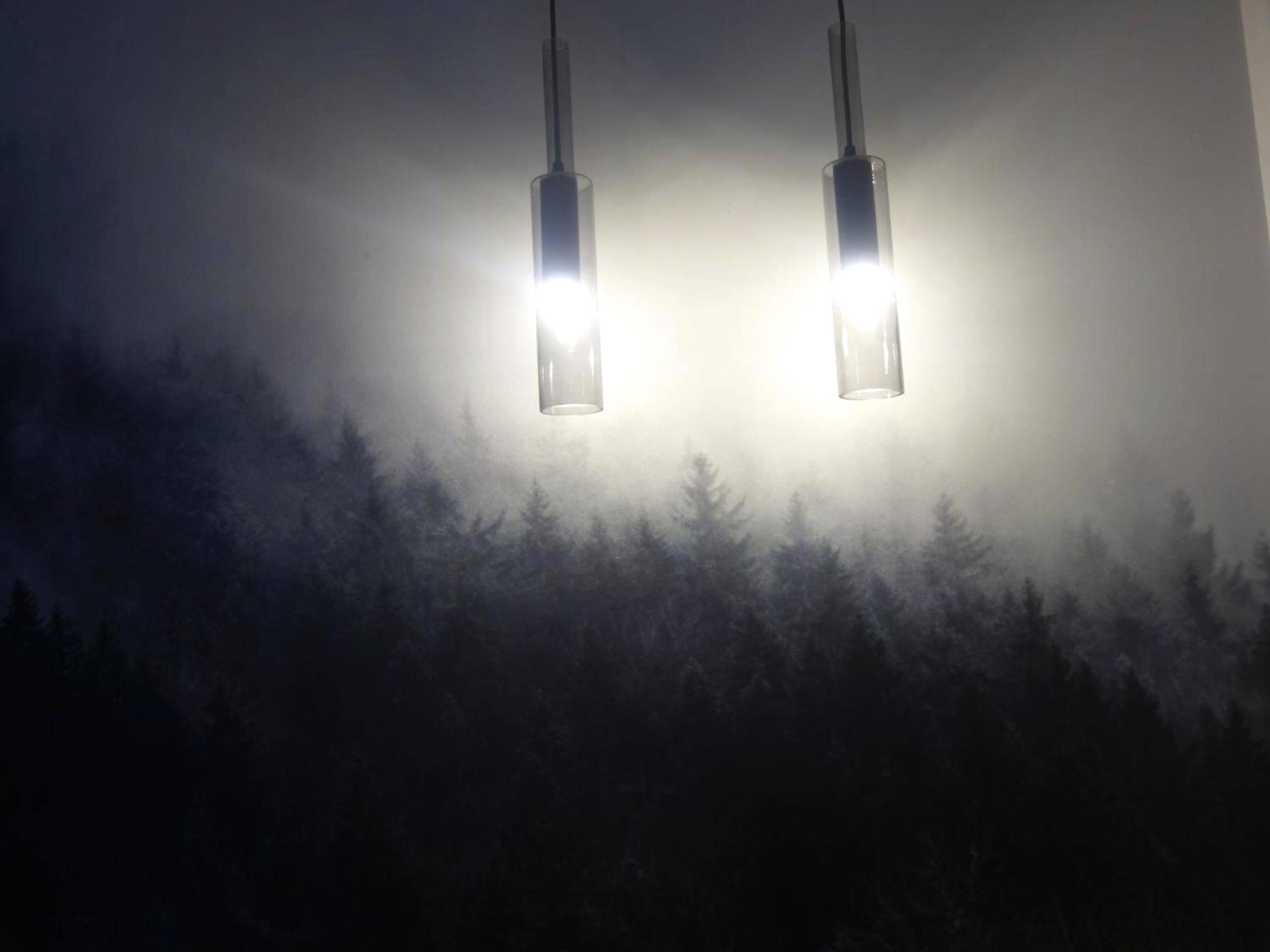 Photo du logement - Cœur de vie « La bulle »