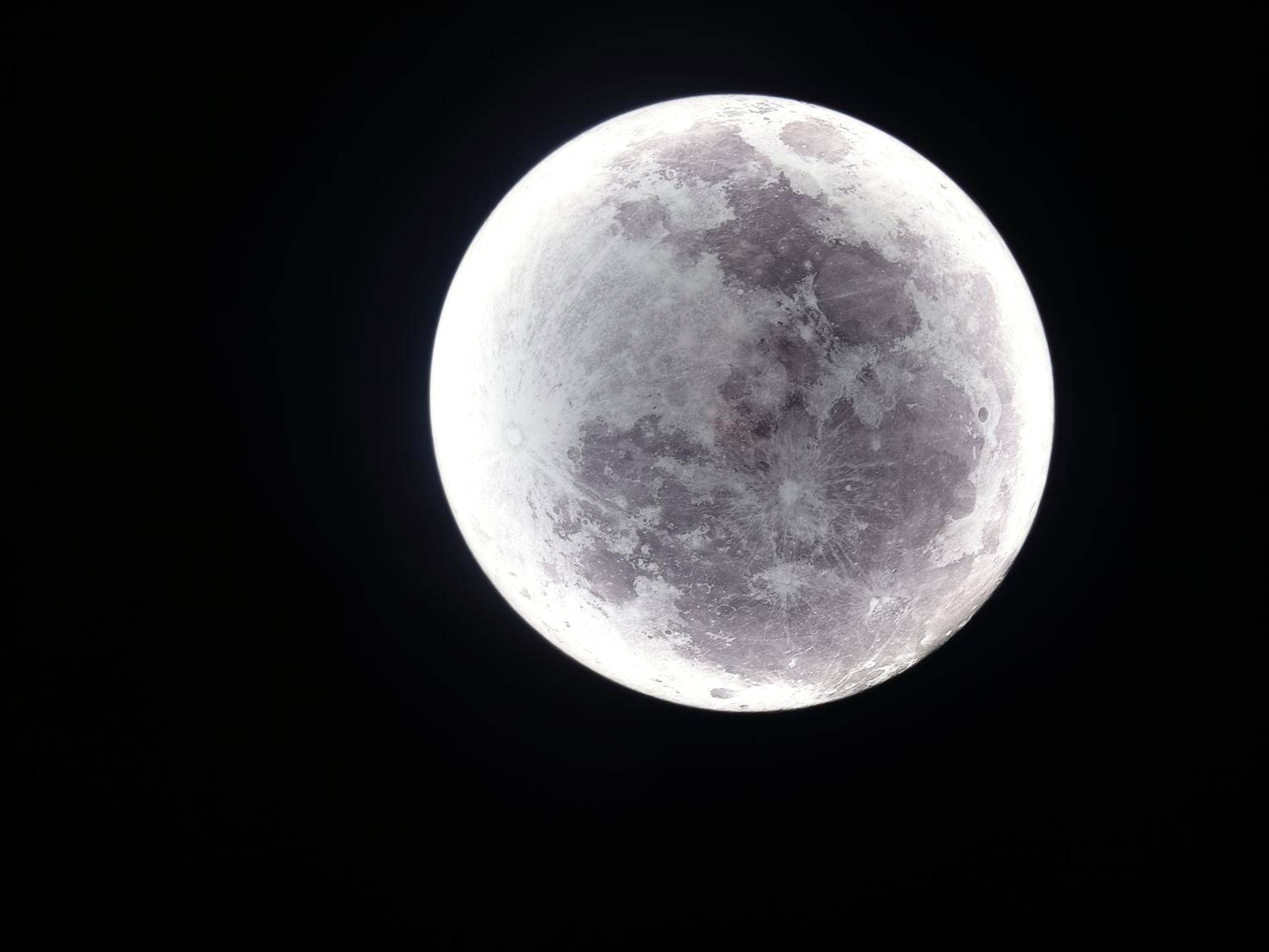 Photo du logement - Cœur de vie « La bulle »