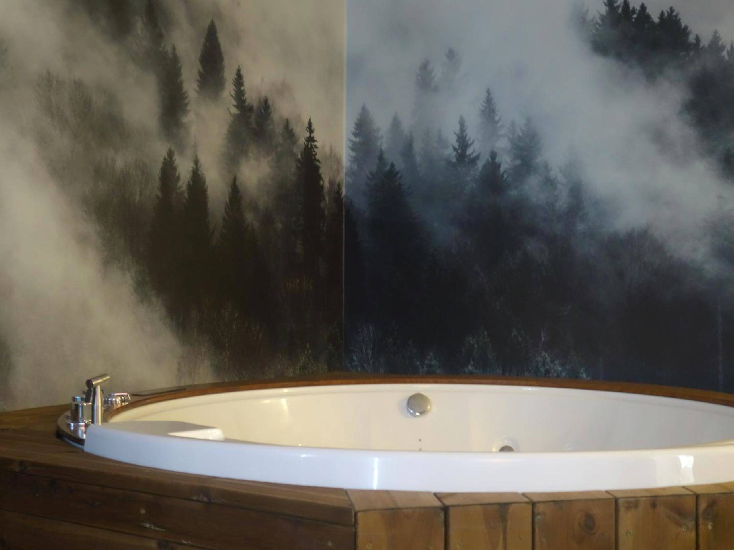 Photo du logement - Cœur de vie « La bulle »