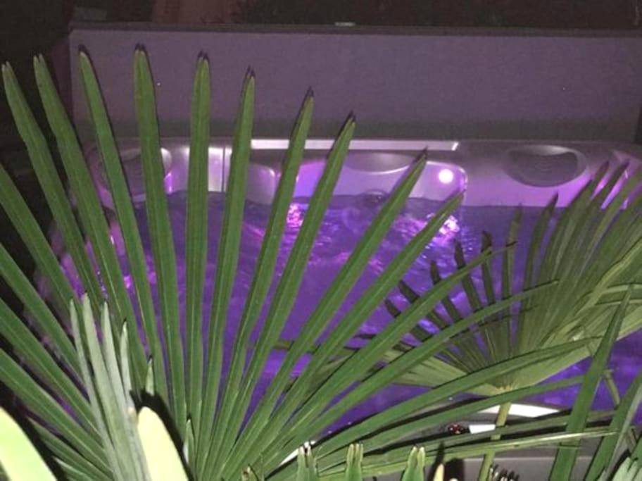 Photo du logement - Un petit coin de Paradis