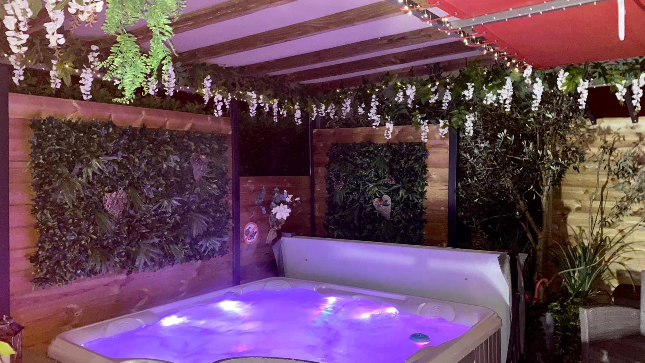 Photo du logement - Un petit coin de Paradis - Toulouse