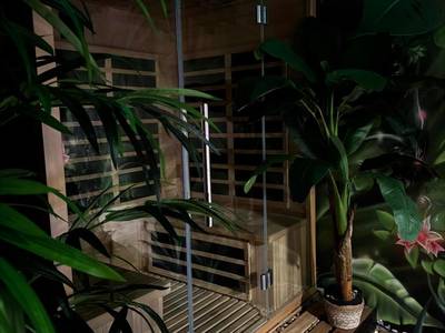 Sauna vitré entouré de plantes exotiques - Coquéo Spa & Sauna Suite Paris Disneyland