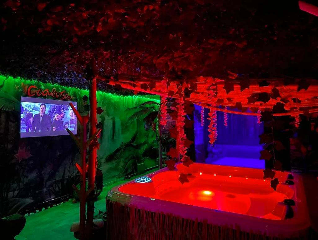 Photo du logement - Coquéo Spa & Sauna Suite Paris Disneyland - Lizy - sur - Ourcq