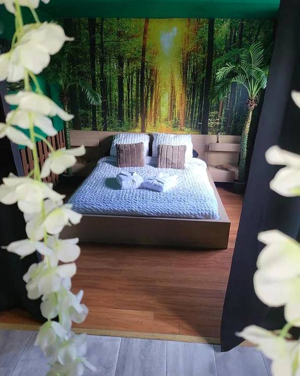 Photo du logement - Coquéo Spa & Sauna Suite Paris Disneyland