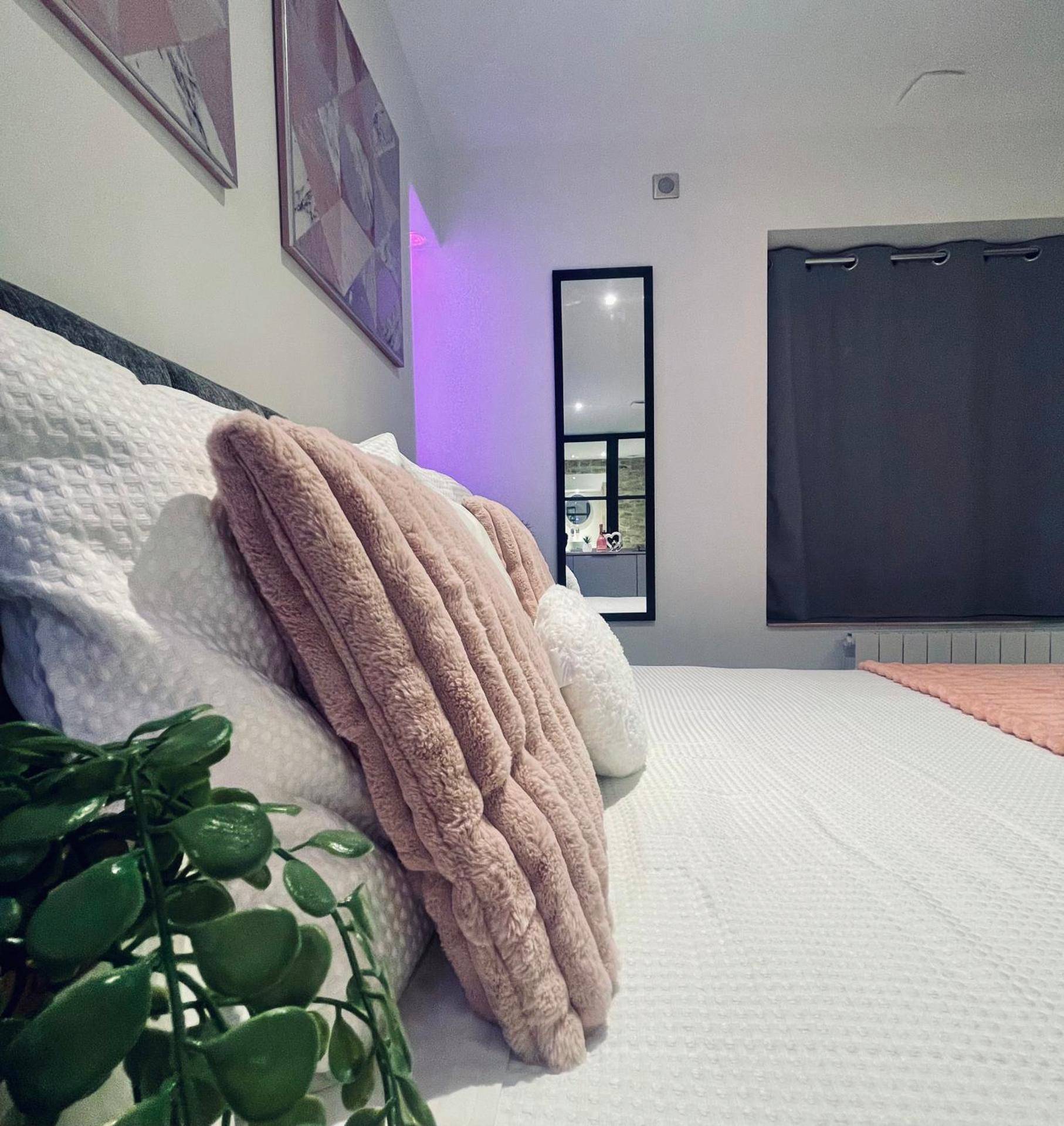 Photo du logement - Cosy Love