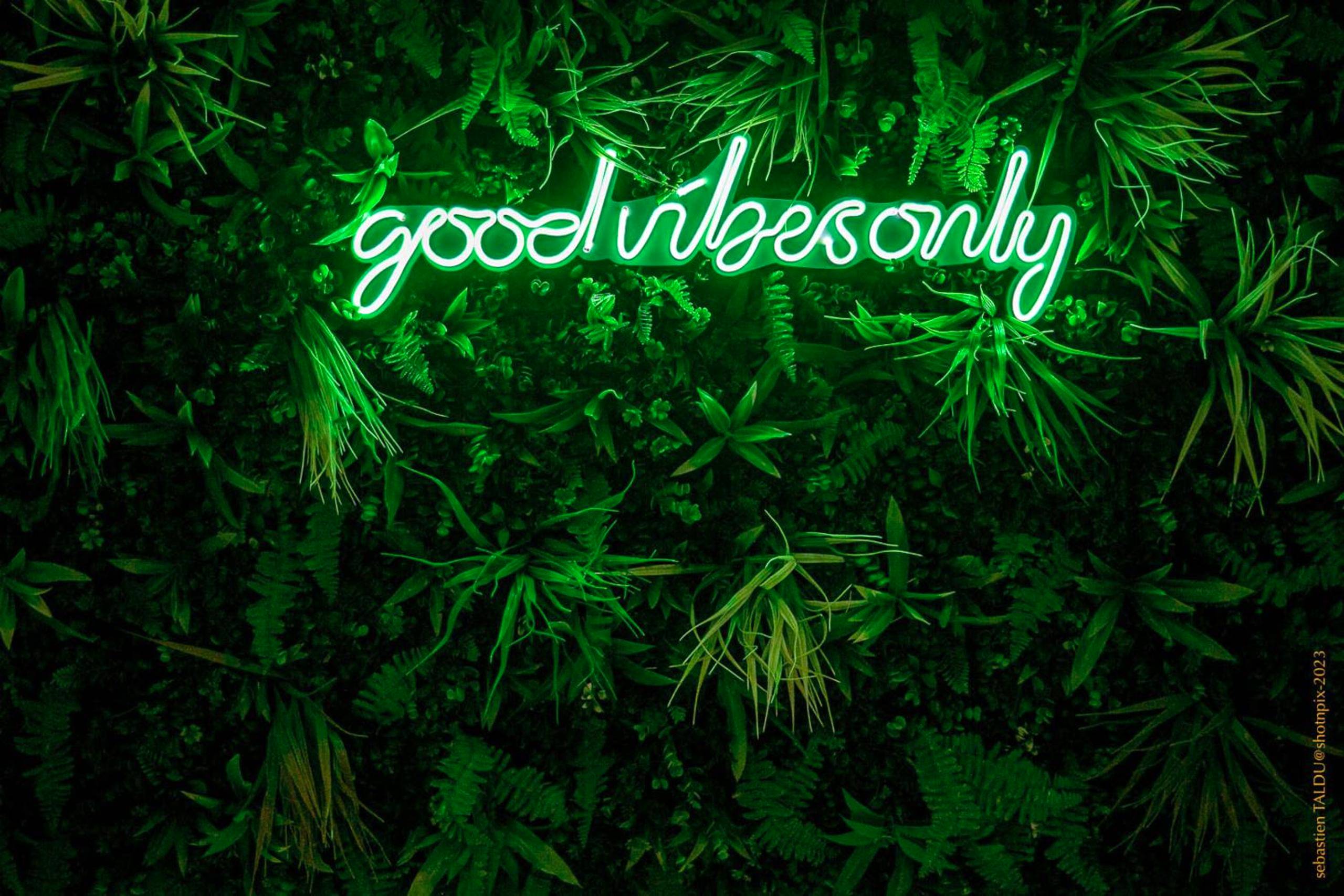 Photo du logement - CosyRouen Bali Jacuzzi & Hamman - Rouen