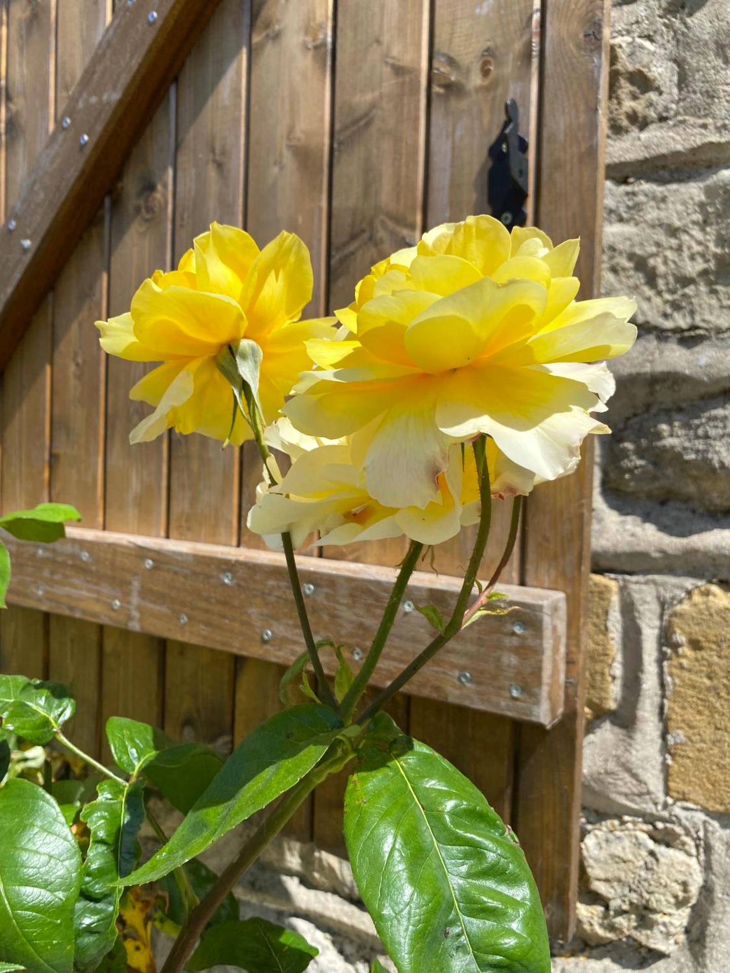 Photo du logement - Cottage Interieur Spa classé 4 étoiles - balnéo et sauna privatif