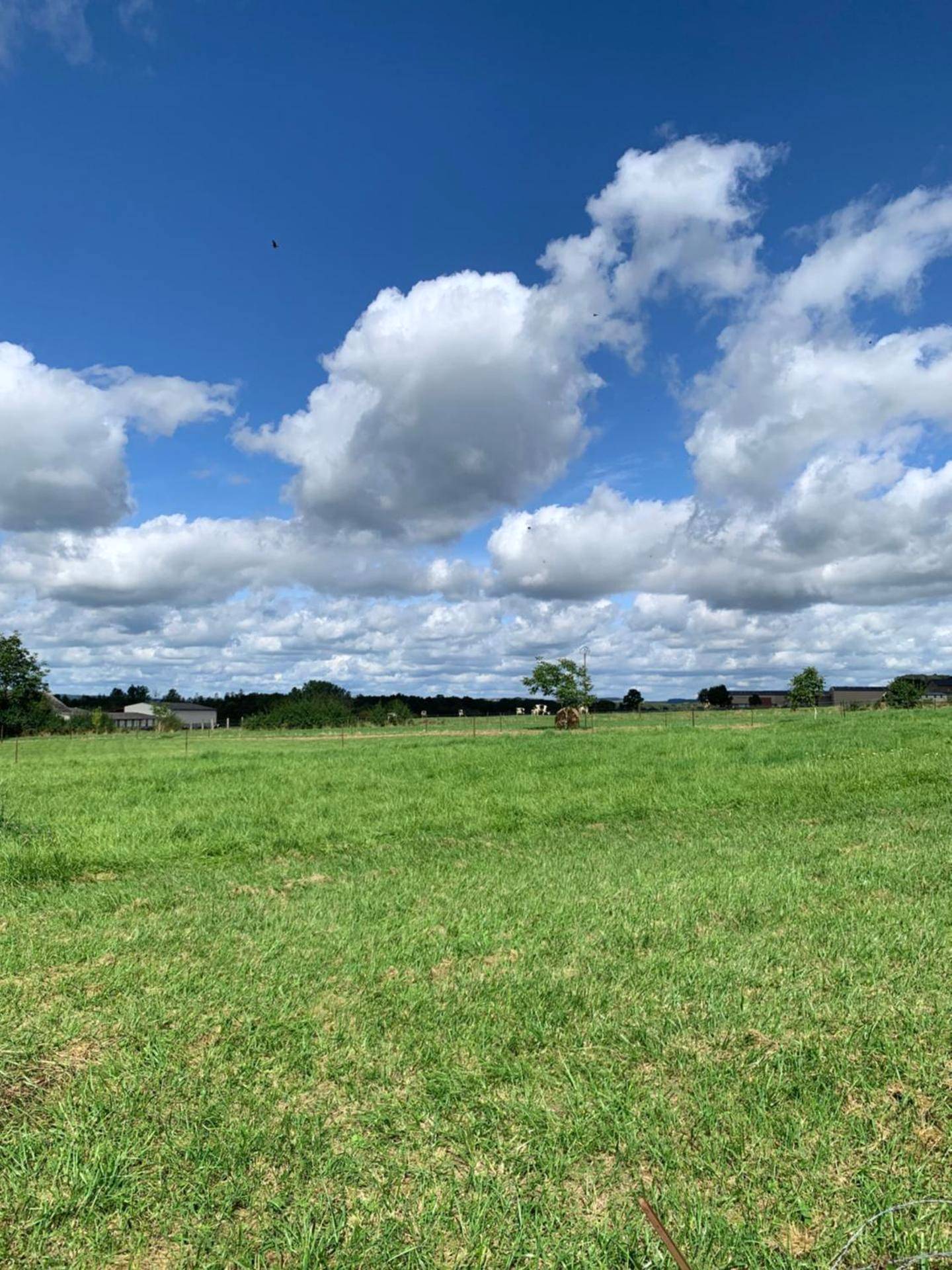 Photo du logement - Cottage Interieur Spa classé 4 étoiles - balnéo et sauna privatif - Charleville - Mézières
