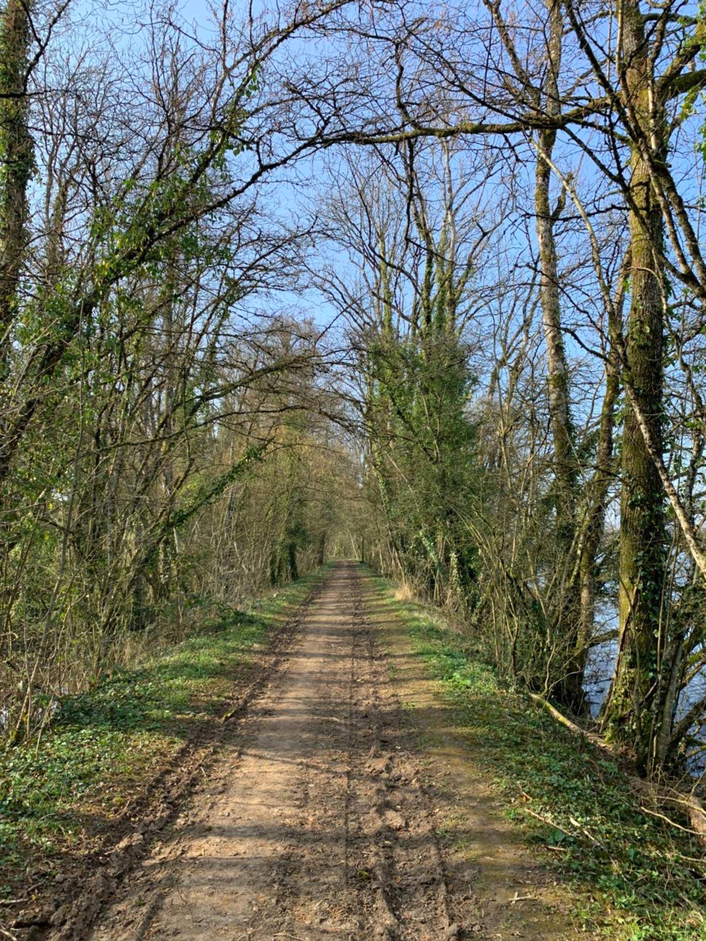 Photo du logement - Cottage Interieur Spa classé 4 étoiles - balnéo et sauna privatif