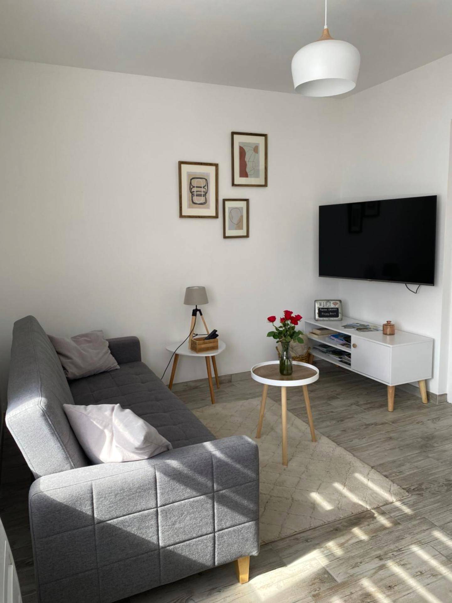 Salon moderne avec canapé gris et télévision - Cottage Interieur Spa classé 4 étoiles - balnéo et sauna privatif