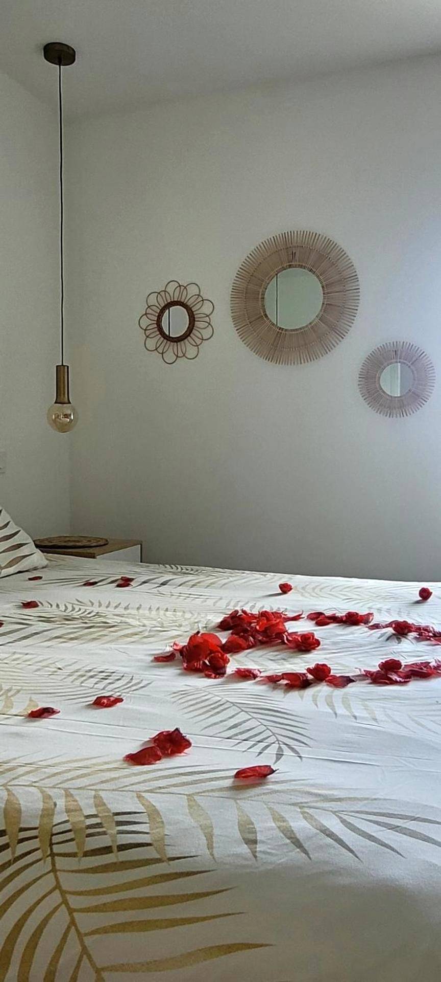 Photo du logement - Cottage Interieur Spa classé 4 étoiles - balnéo et sauna privatif