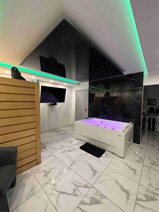 Photo du logement - Cozy Rental SPA - Schiltigheim