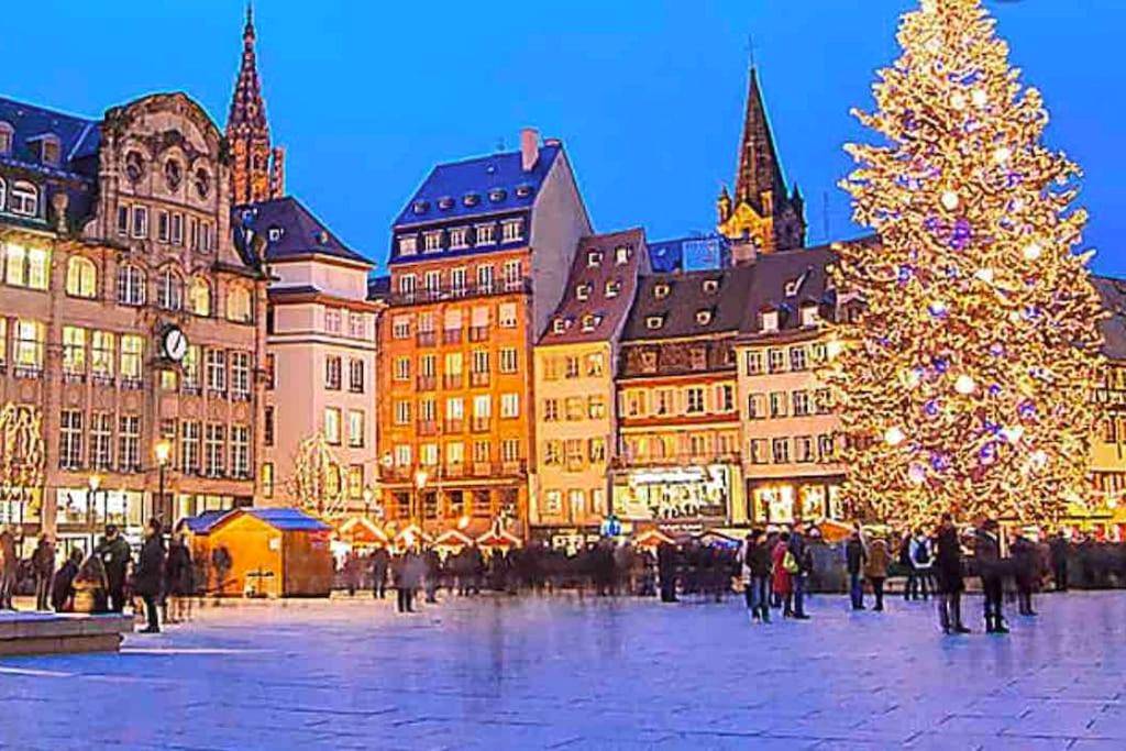 Photo du logement - Cozy Rental SPA