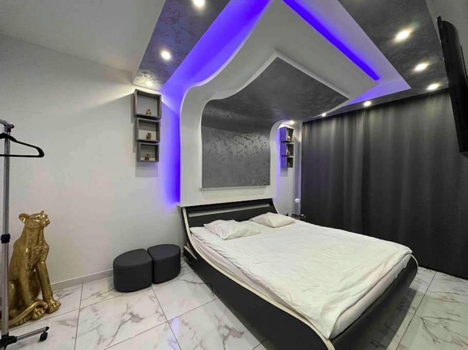 Photo du logement - Cozy Rental SPA