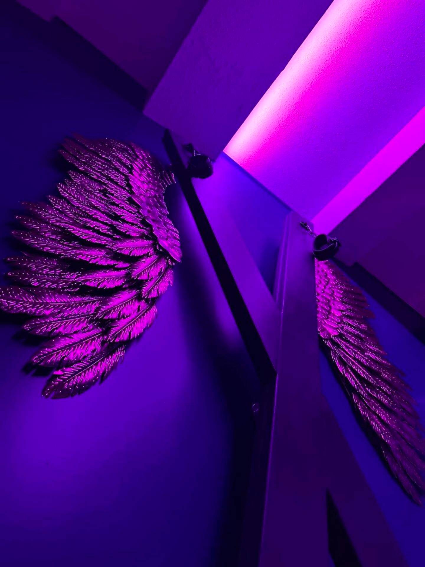 Décoration murale ailes d'ange sous lumière rose - Suite craz'in Love Room, jacuzzi, cinéma, Camargue