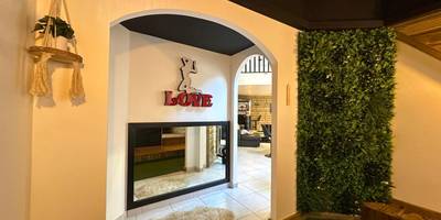 Entrée décorée avec mur végétal et miroir - Love Room La Crèche Romantique