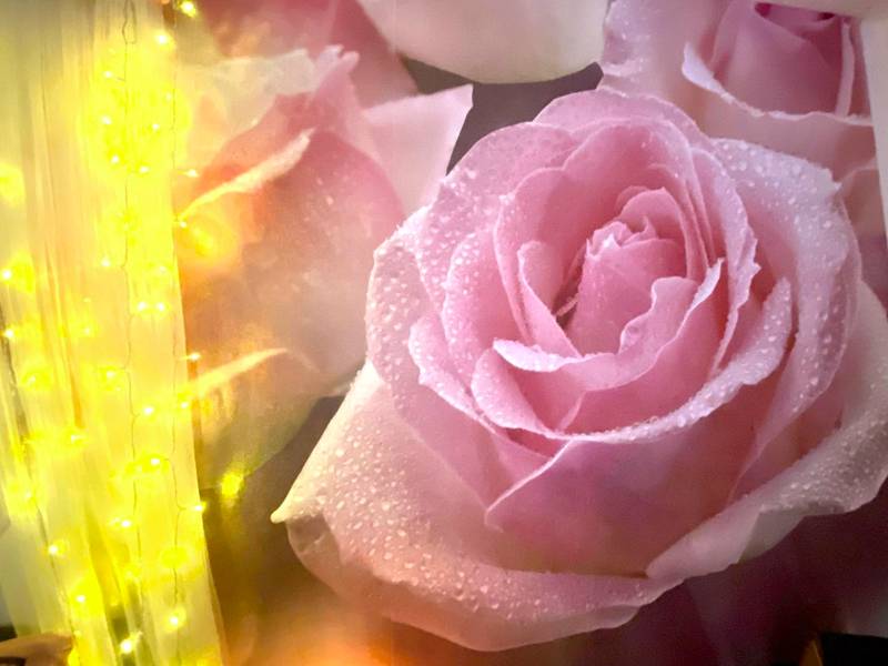 Photo du logement - COSY & SPA Appartement Luxe JACUZZI SAUNA Suite Cristal