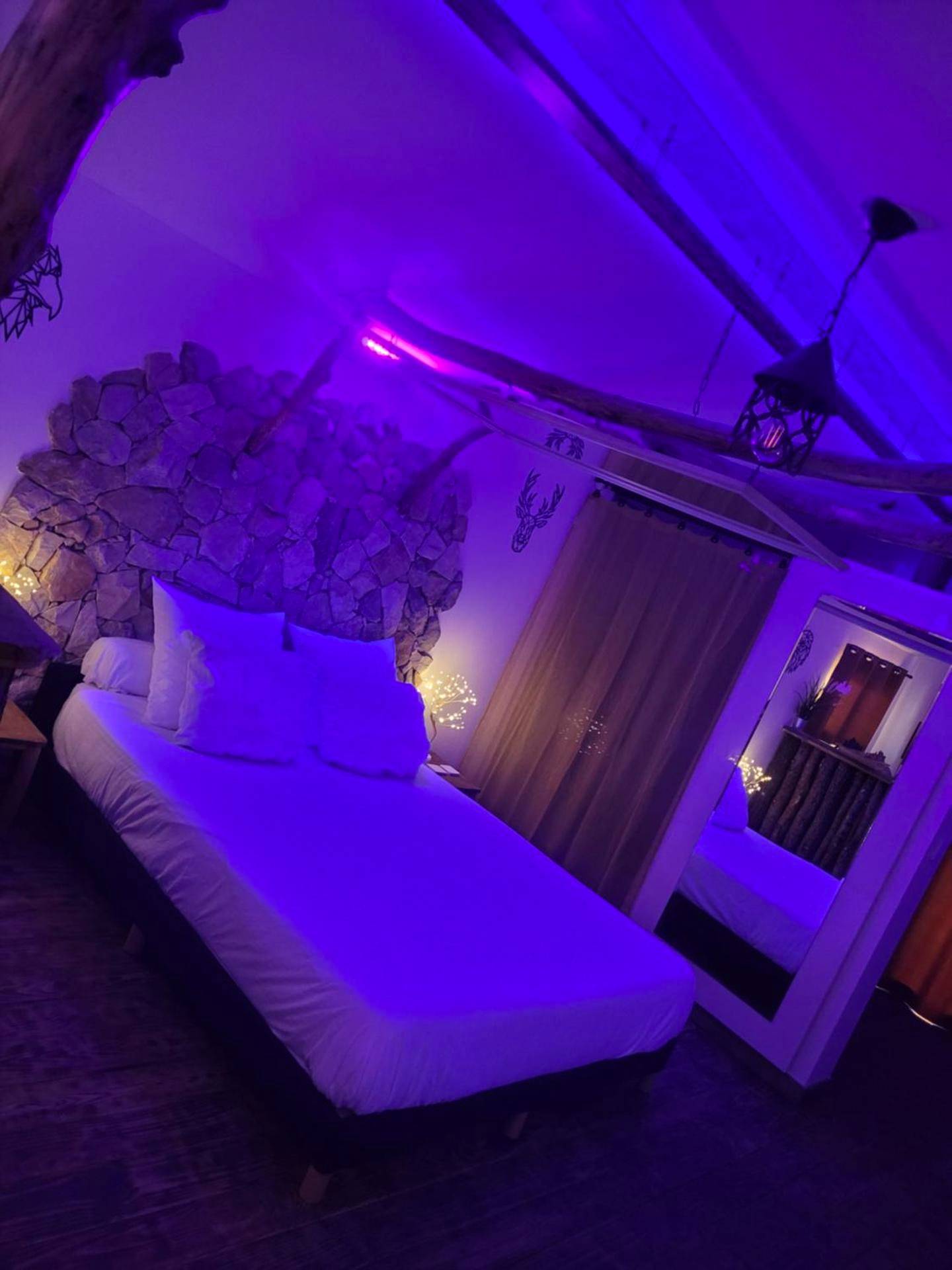 Chambre avec éclairage néon violet et mur de pierre - Love Room Cuges - les - Pins - LOVE Room Danslesbois avec spa