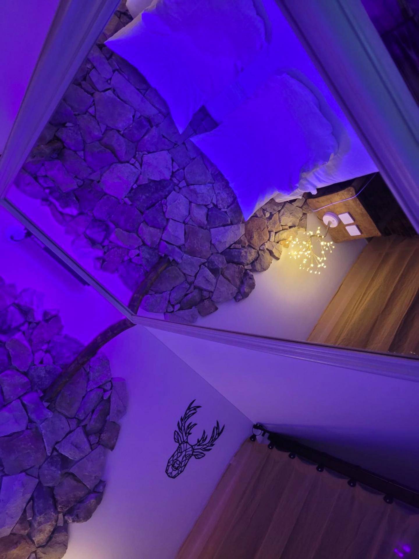 Photo du logement - LOVE Room Danslesbois avec spa