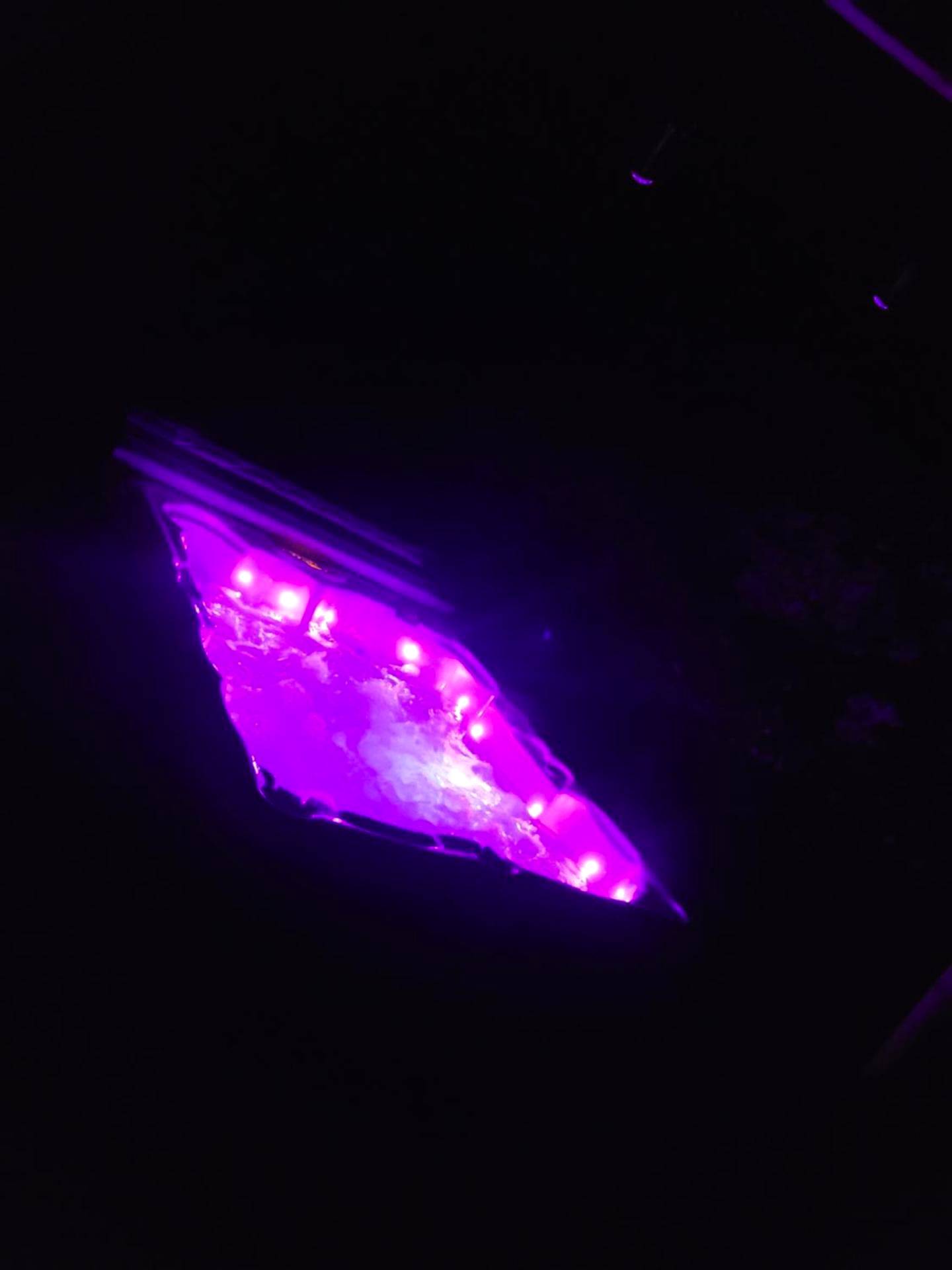 Photo du logement - LOVE Room Danslesbois avec spa - Cuges - les - Pins