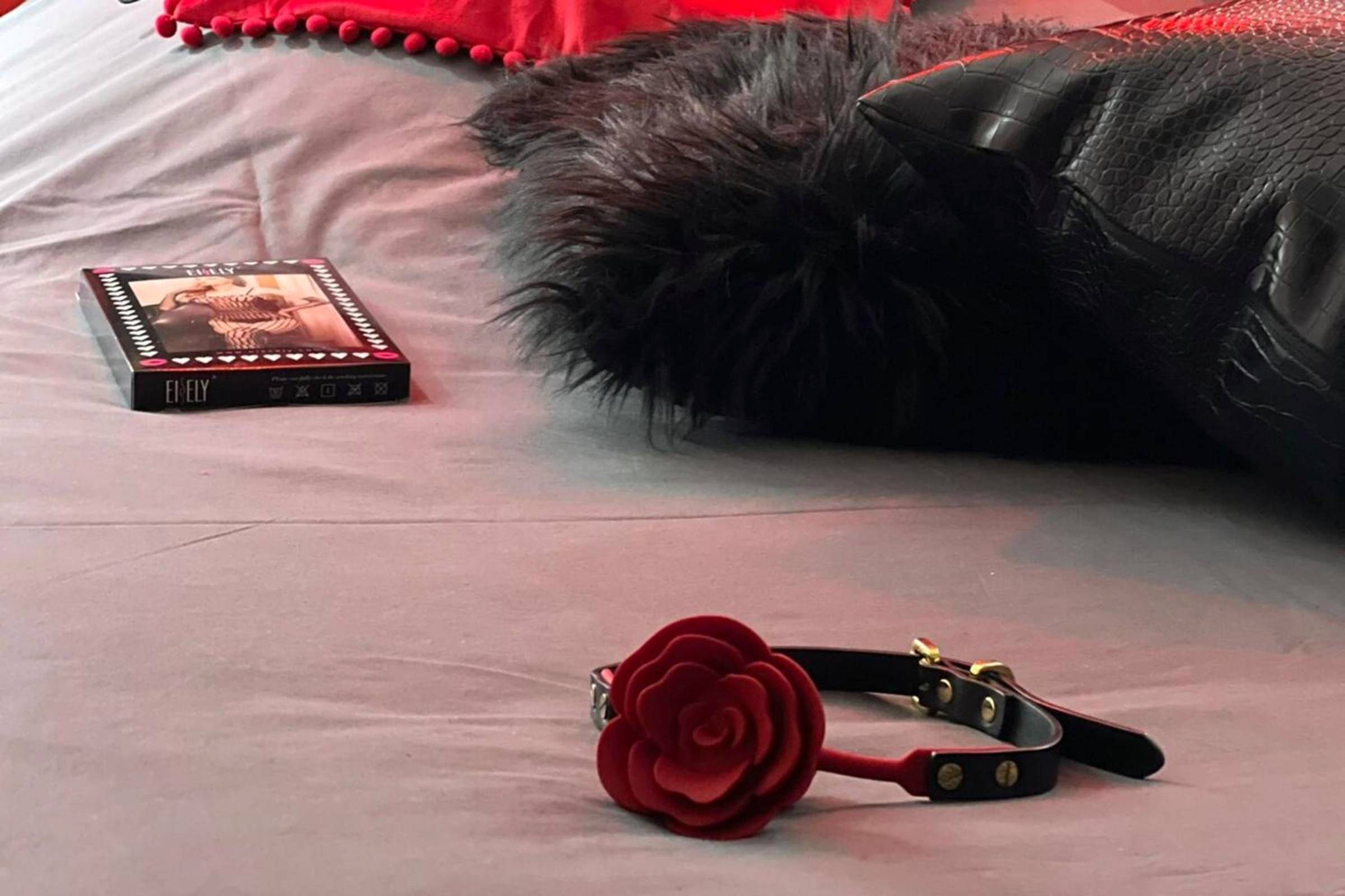 Photo du logement - Dark Room Perpignan aux 50 nuances Jacuzzi Privé - Villeneuve - de - la - Raho