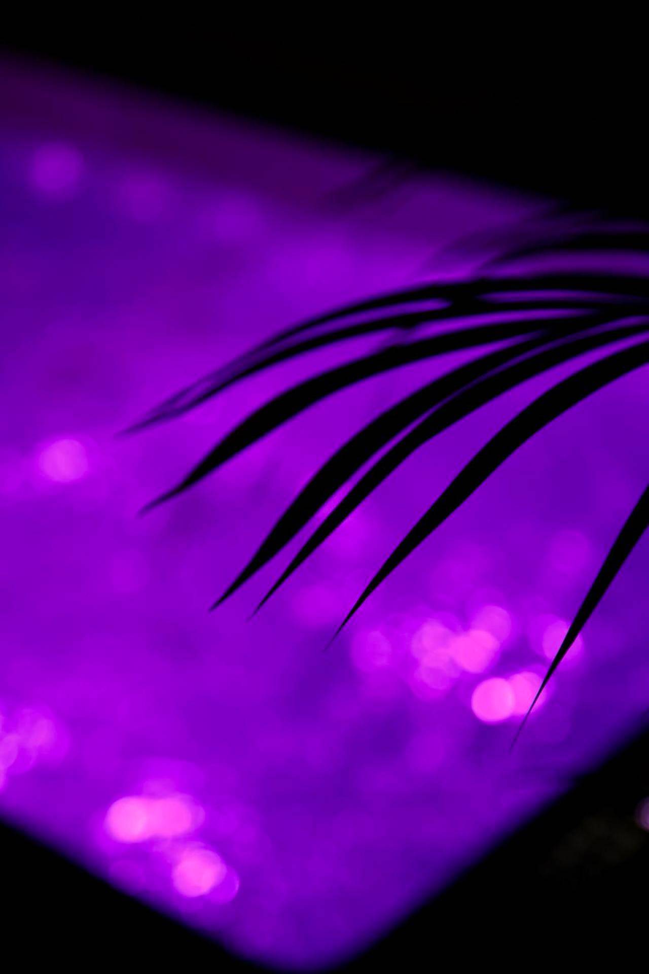 Détail de plante devant un jacuzzi illuminé - love room gold - les delices rooms