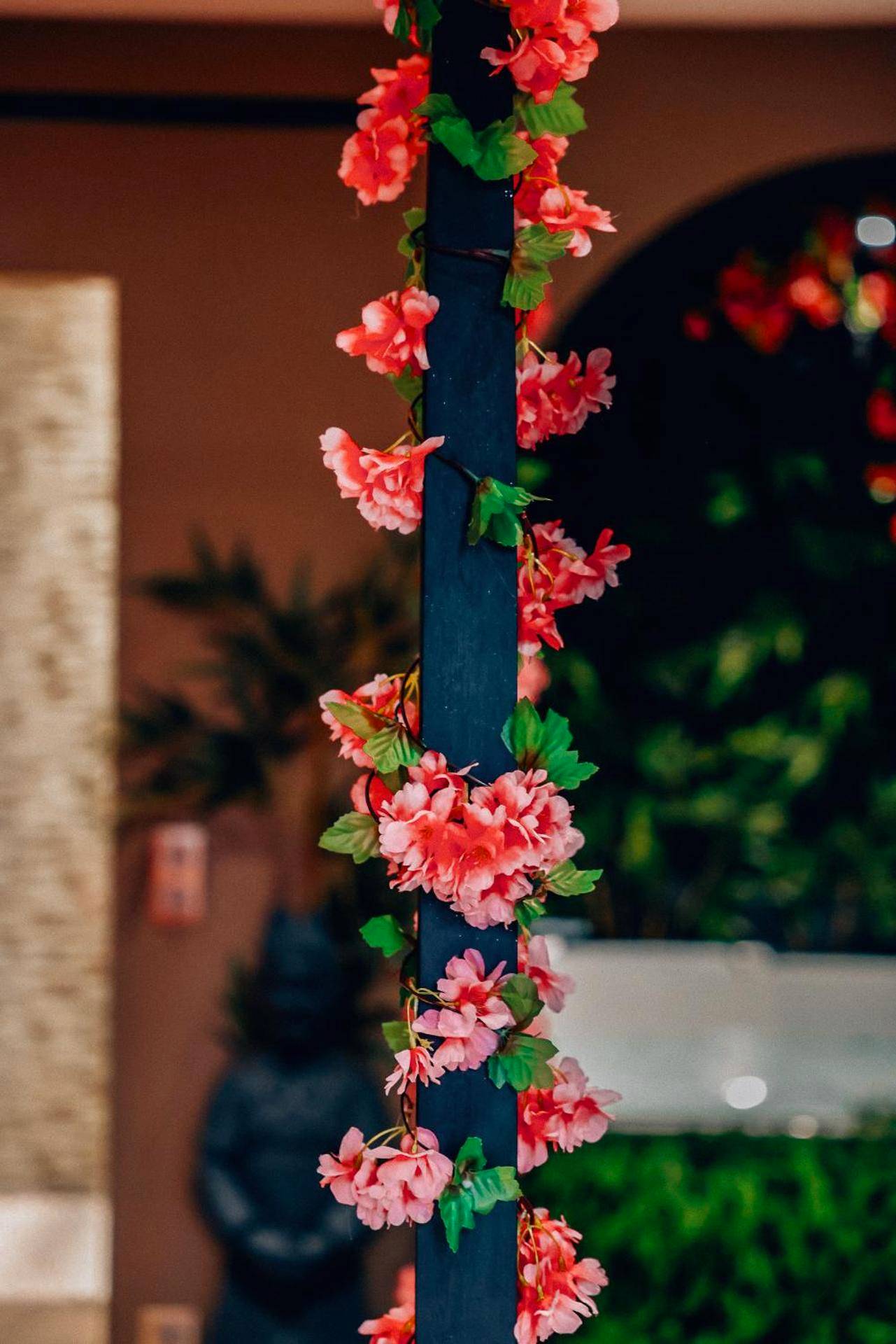 Photo - la demeure de POULPICAN Chambre SAKURA jacuzzi charme romantique terrasse privée 300m plage...