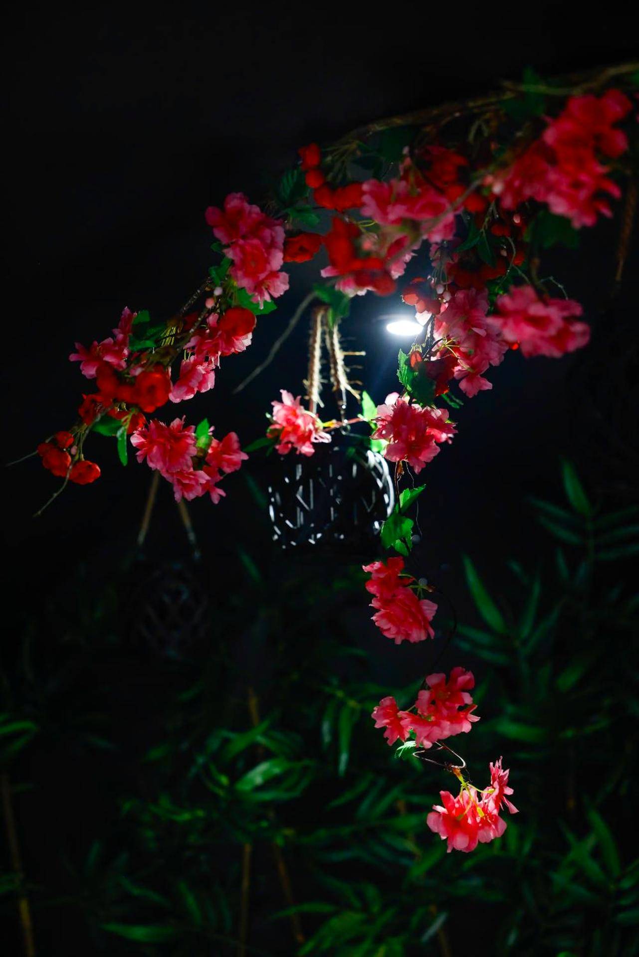 Photo - la demeure de POULPICAN Chambre SAKURA jacuzzi charme romantique terrasse privée 300m plage...