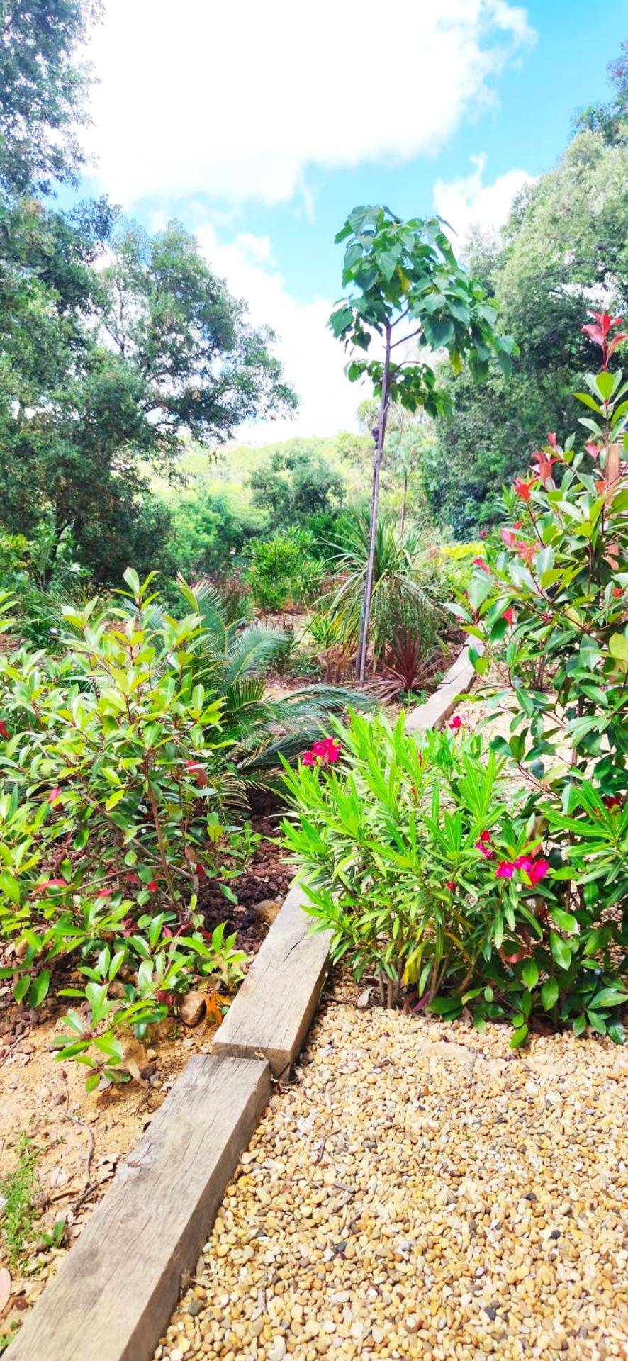 Photo - la demeure de POULPICAN Chambre SAKURA jacuzzi charme romantique terrasse privée 300m plage...