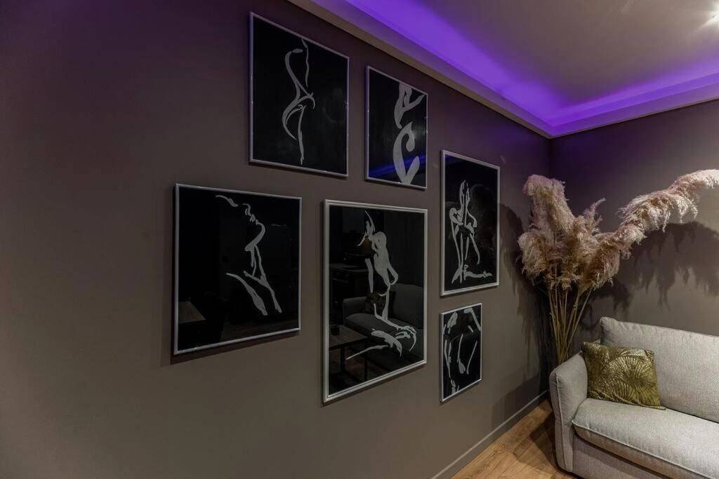 Photo du logement - Le désir secret - Montauban