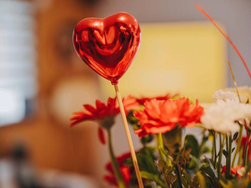 Photo du logement - Le Desirella gite De Charme Spa