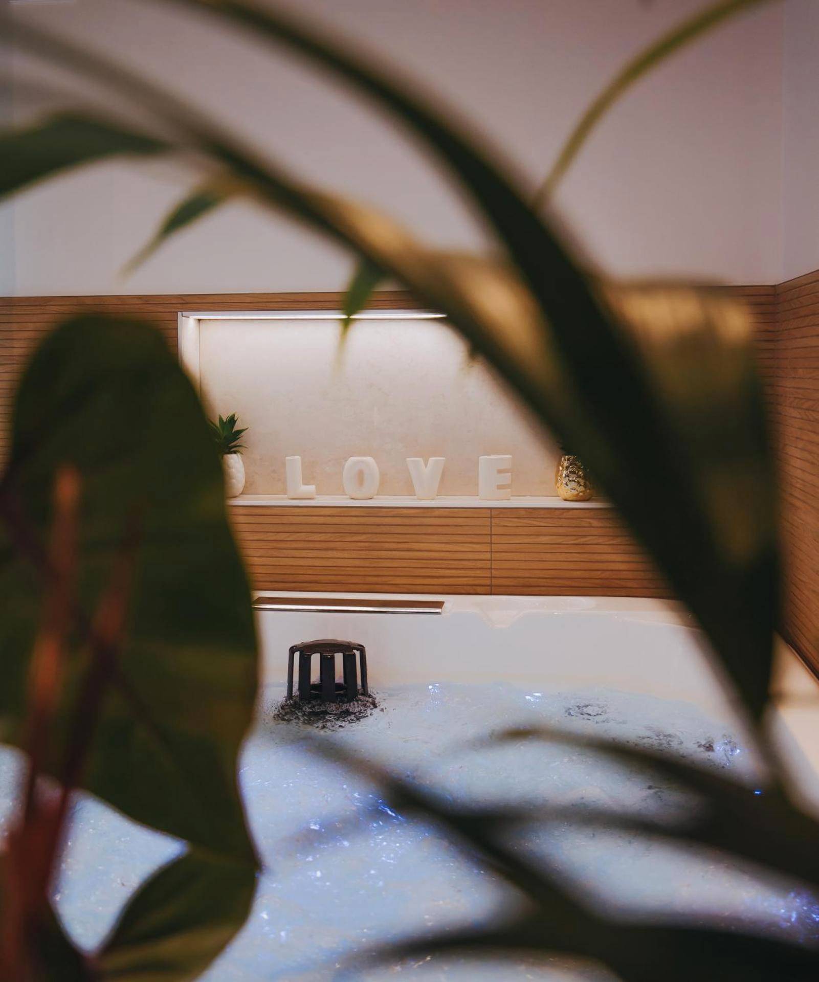 Photo du logement - Le Desirella gite De Charme Spa - Camors