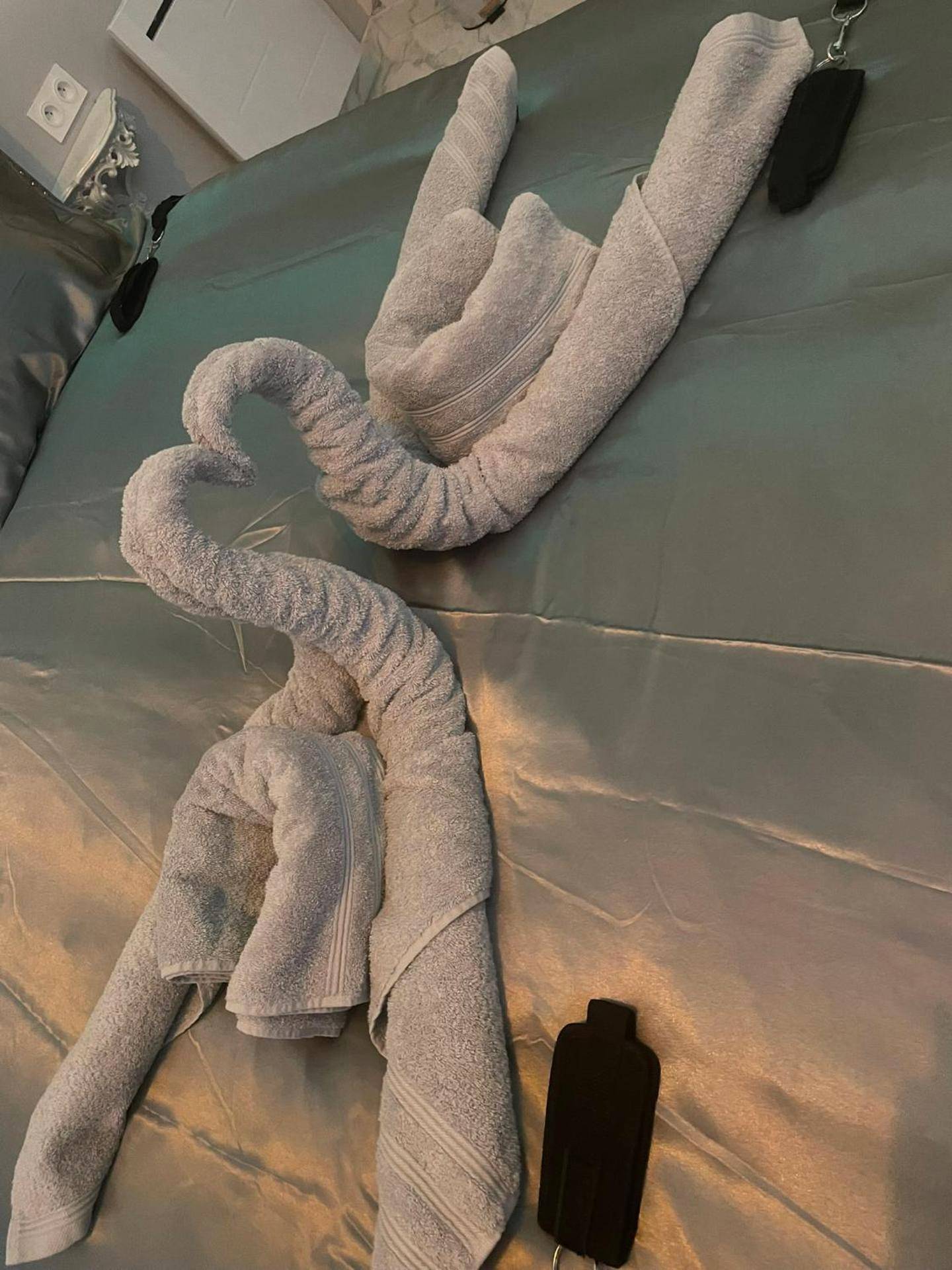 Photo du logement - Désirs d'une nuit - La désirée